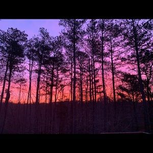 Meet your Posher, Ariana